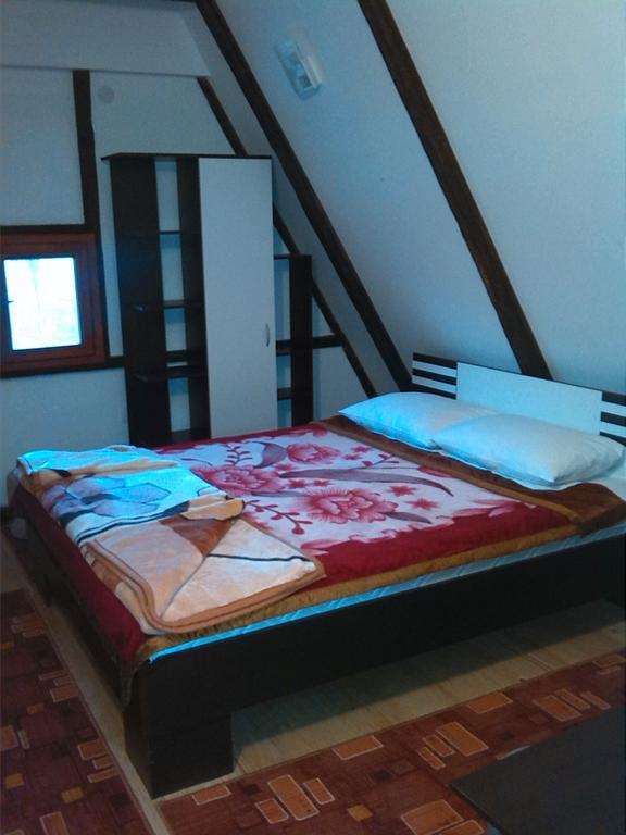 Apartment Dedina Kuca 1937 Mokra Gora